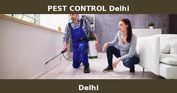 PEST CONTROL Delhi